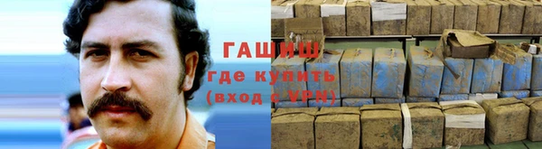 амф Магас