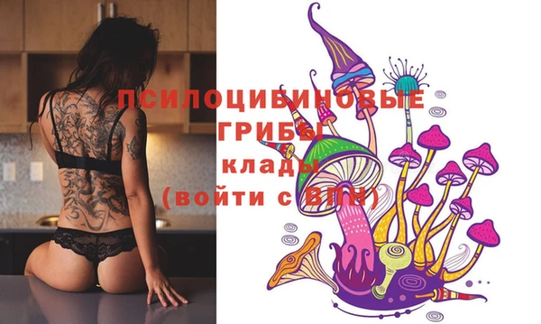 амф Магас